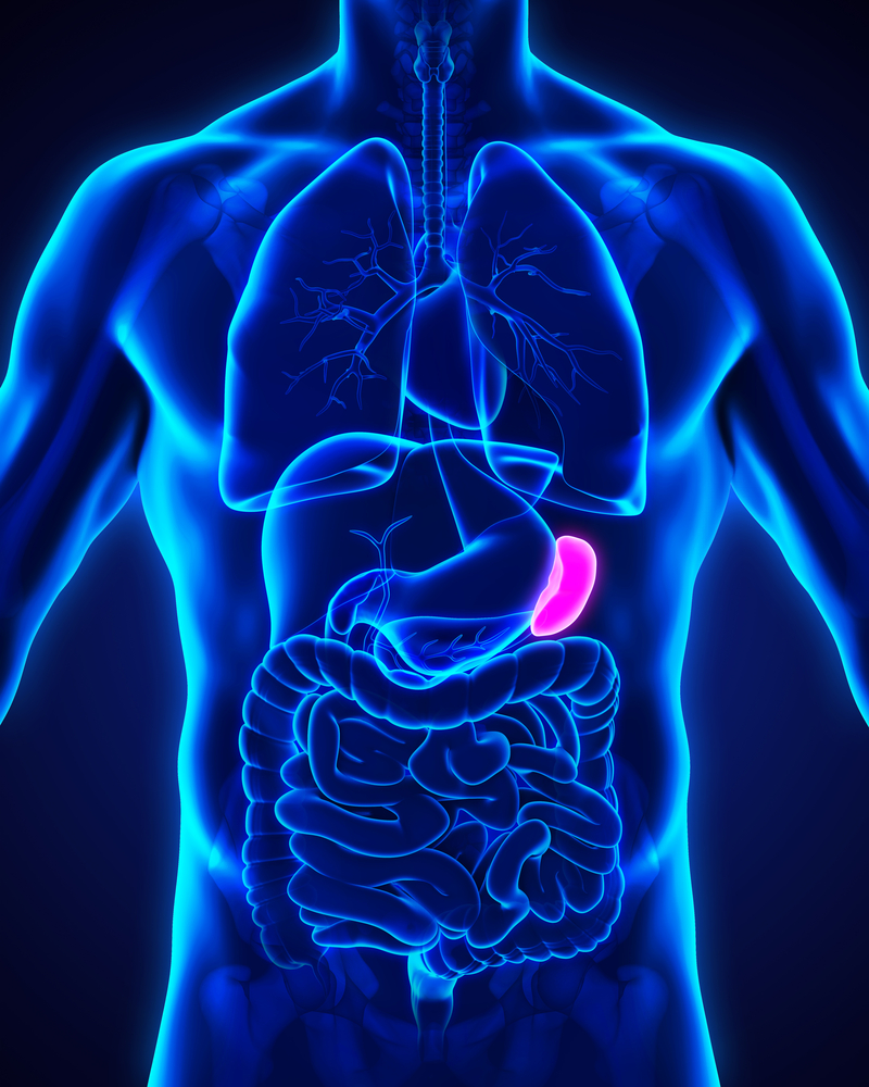 shutterstock_450948988