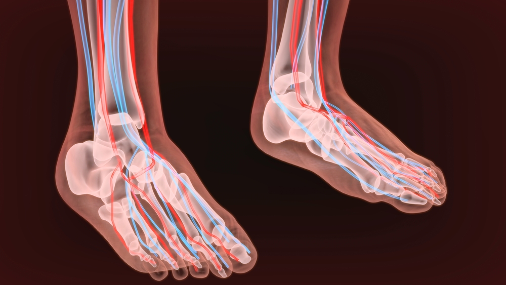 3d,Render,Of,Foot,Nerves,Anatomy