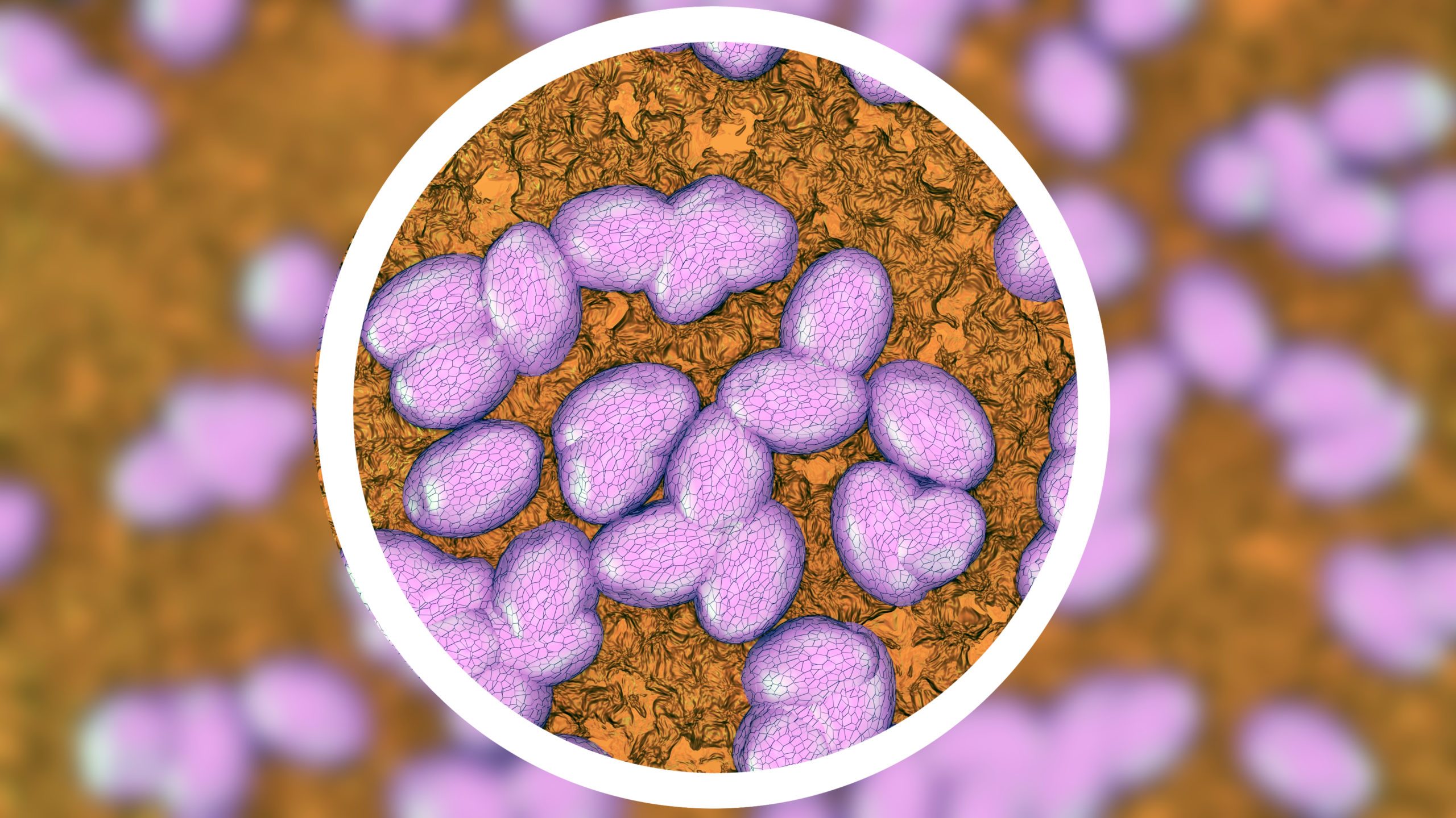 New research on countering superbugs