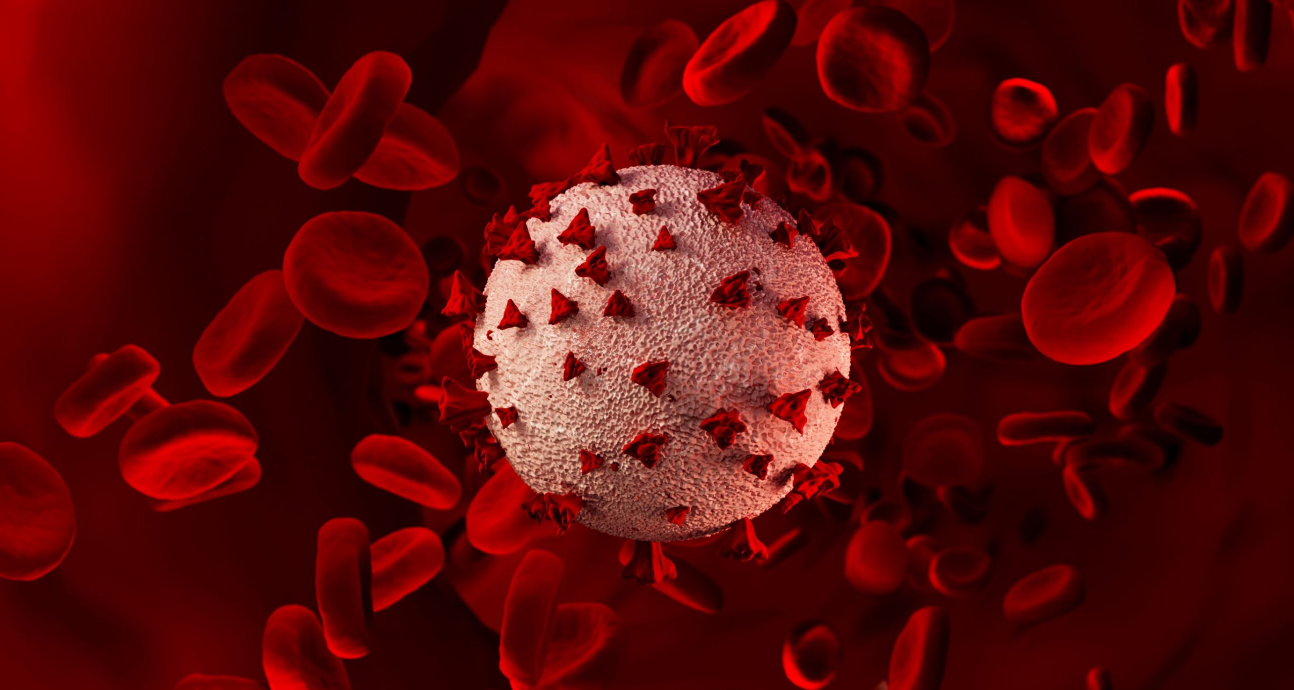 shutterstock_1700962981