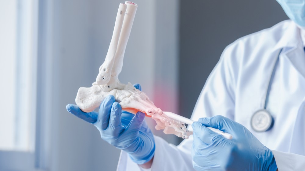 shutterstock_1737056555