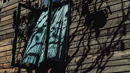 pexels-dương-nhân-1701409_Cropped