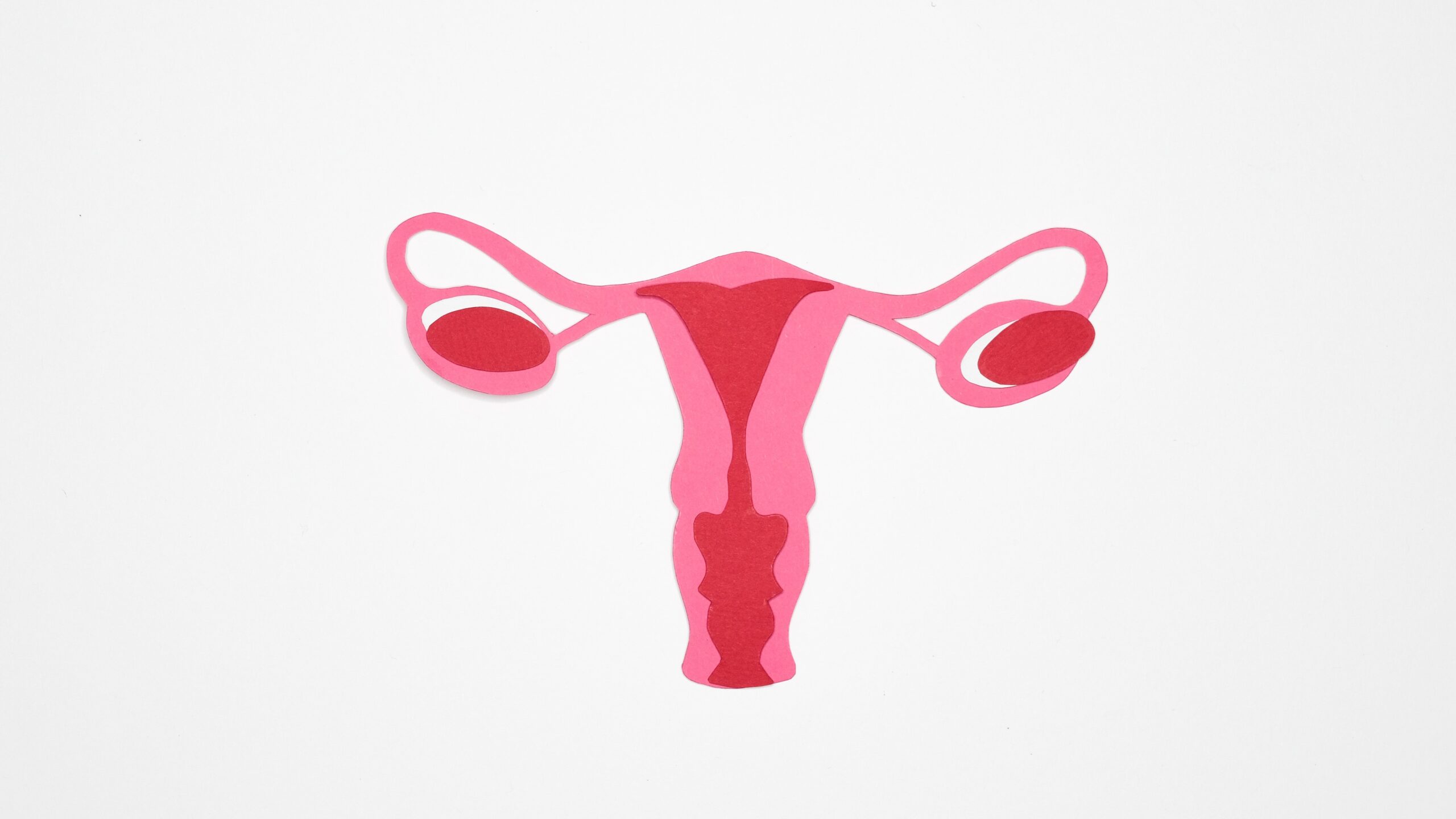 pexels-nadezhda-moryak-7467100-scaled