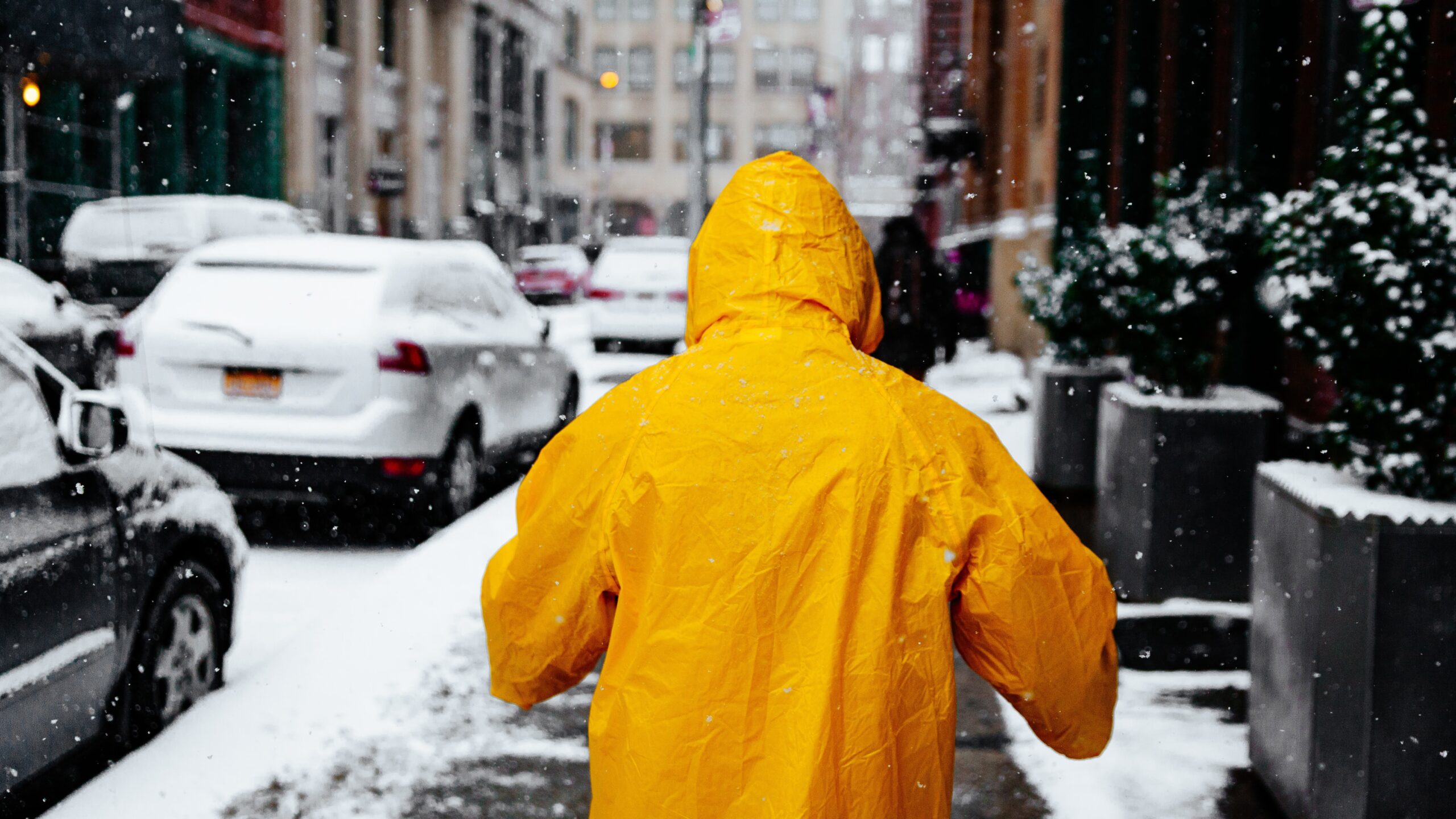 ross-sokolovski-Ri4BxJLZ1Dk-unsplash-scaled