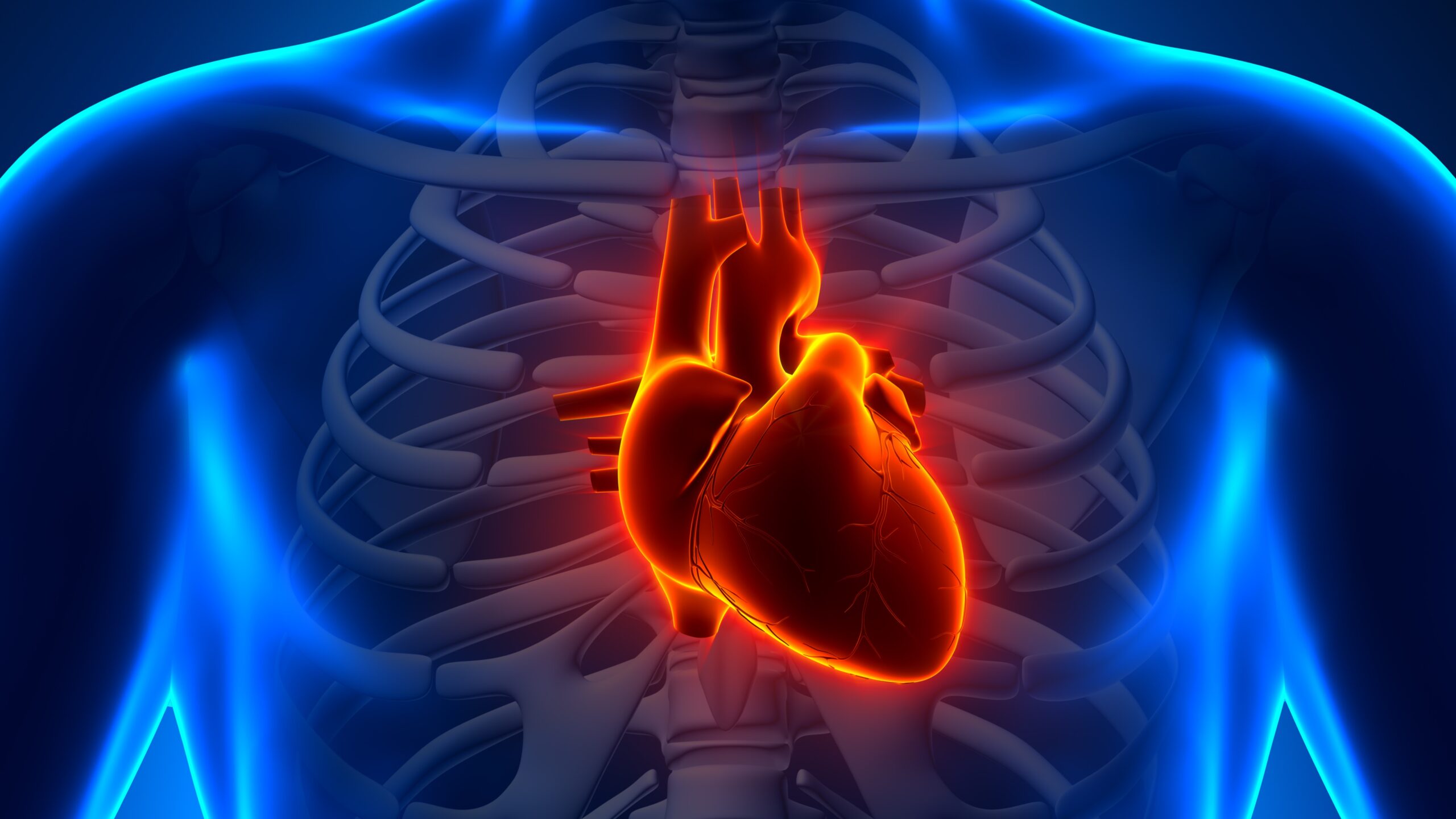 shutterstock_134397698-scaled