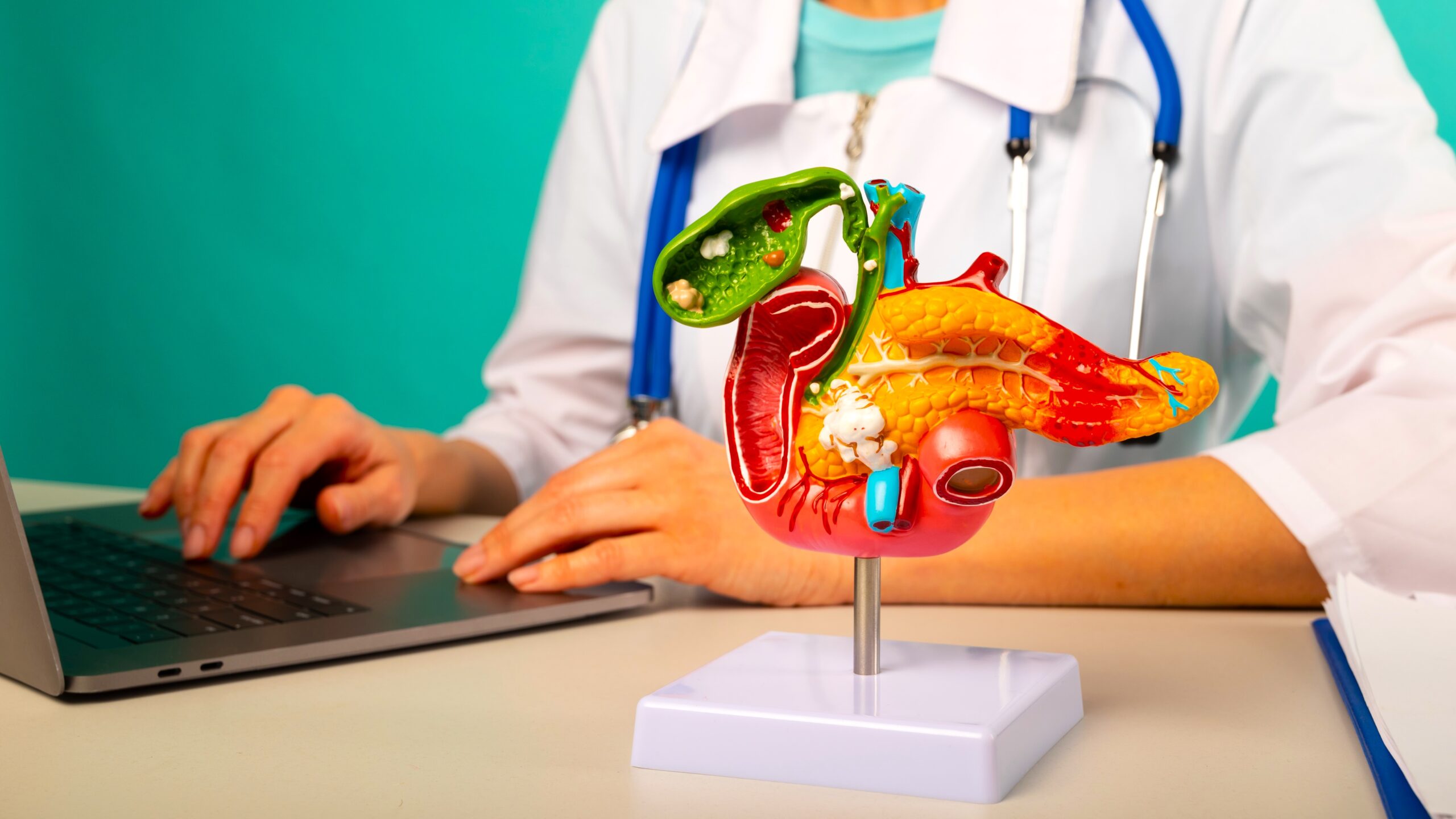 shutterstock_2295747945-scaled