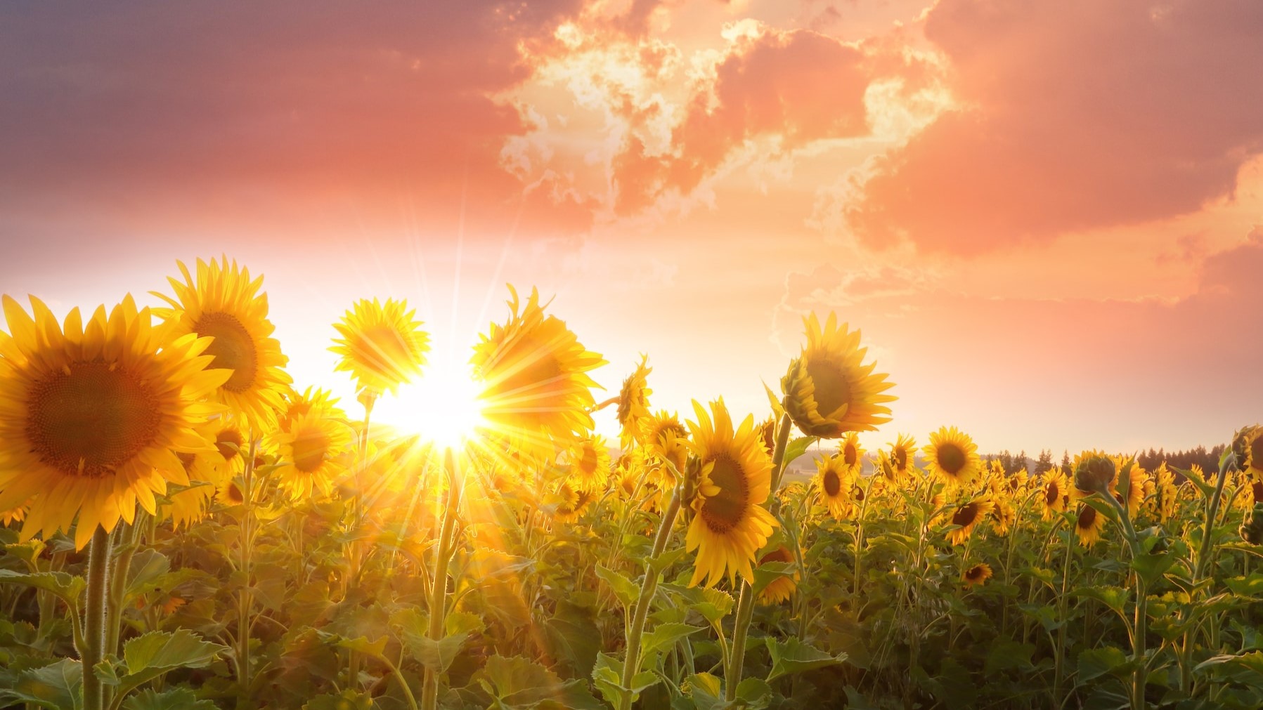 timothy-eberly-XVE2eMZGrhk-unsplash