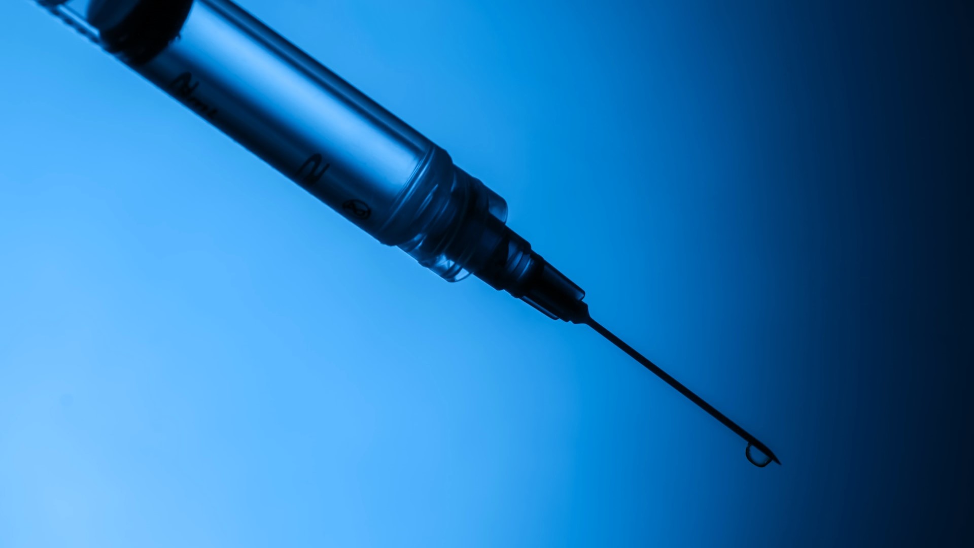 ian-talmacs-MlTXrdhYOdk-unsplash