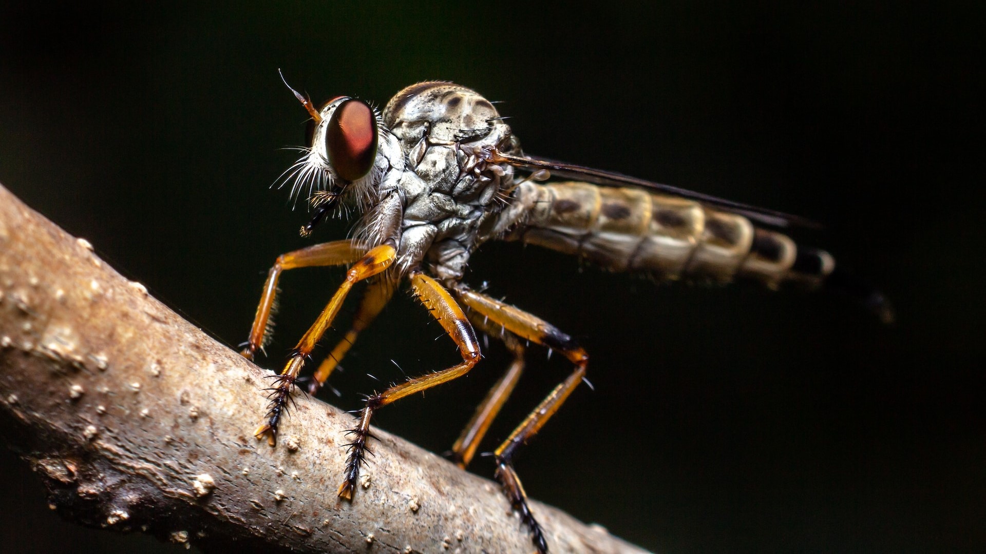 ajithkumar-m-rZ6tWZS3DtI-unsplash