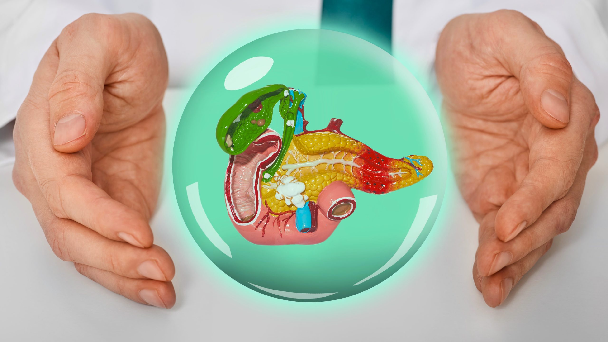 shutterstock_2146327353