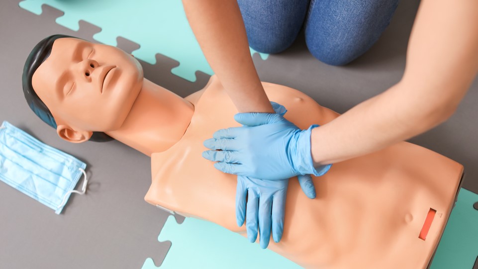 shutterstock_1661965942