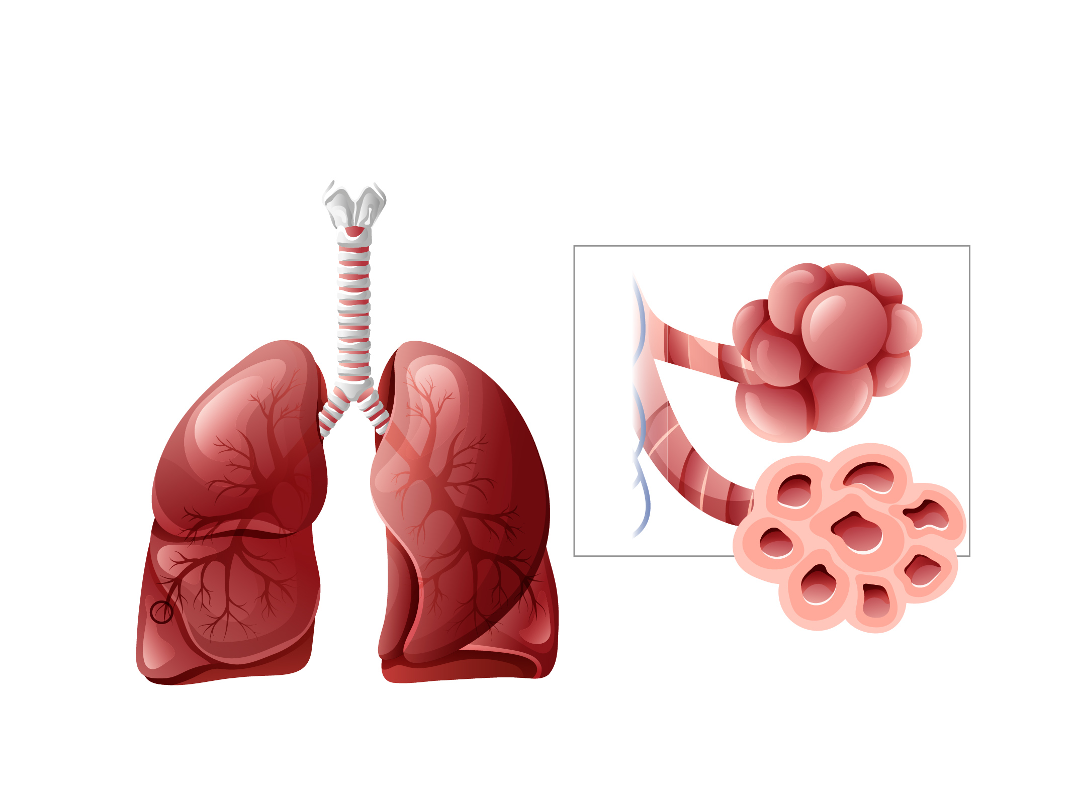 Pulmonary Fibrosis course image_Modified