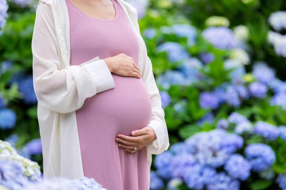 Pregnant,Woman,Hold,With,Her,Tummy,At,Hydrangea,Flower,Garden