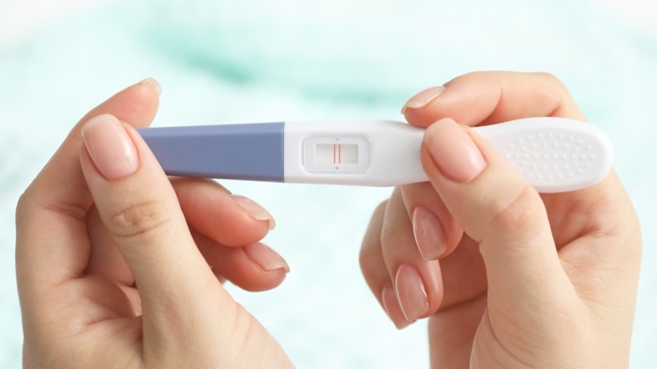 shutterstock_2509723871(1)