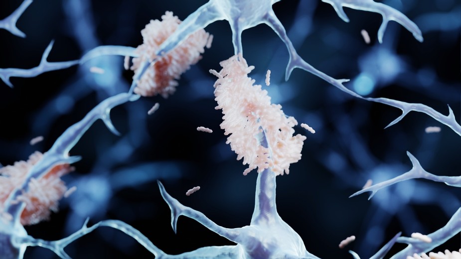 shutterstock_2084522077