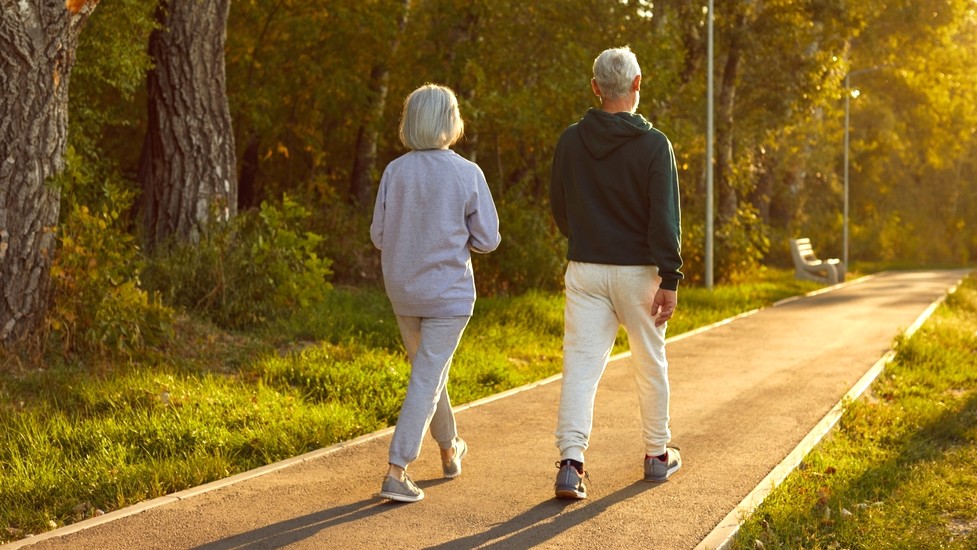 shutterstock_2513982793