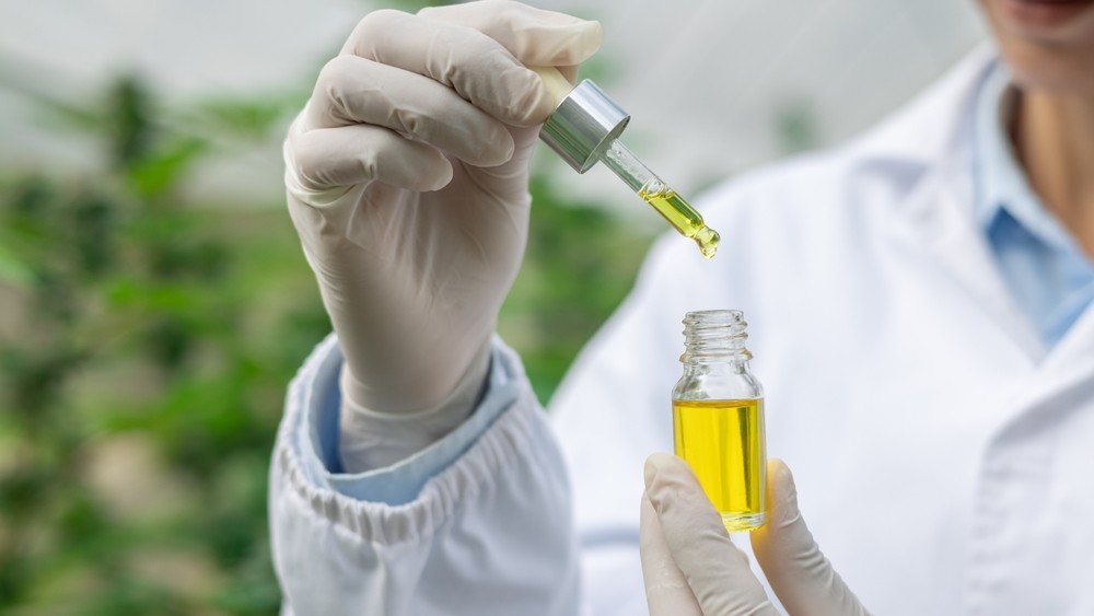 shutterstock_2455376585