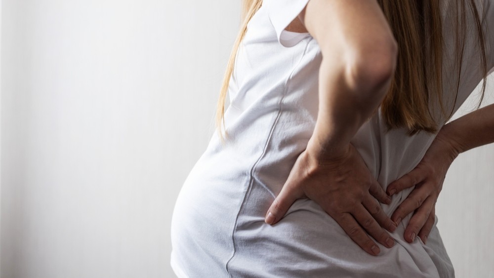 shutterstock_2664087365