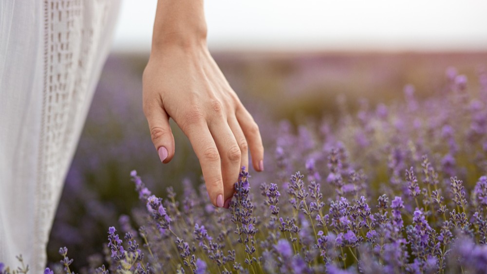 shutterstock_1628048116(1)