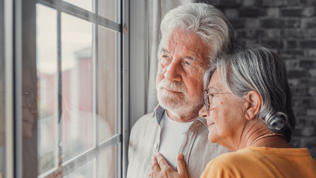 shutterstock_2253021287