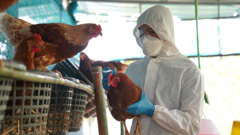 shutterstock_2153619815