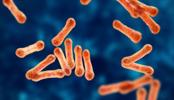 Article Image - Diphtheria