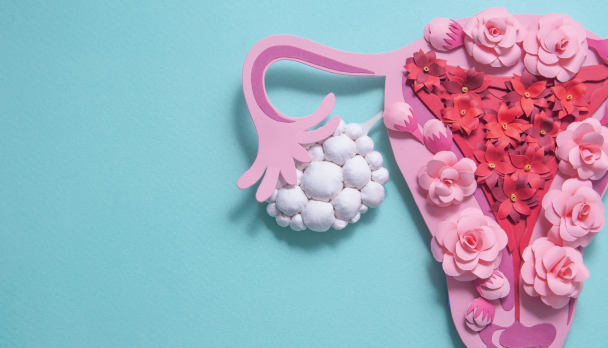 CP Nov 23 - Article Feature Images-02