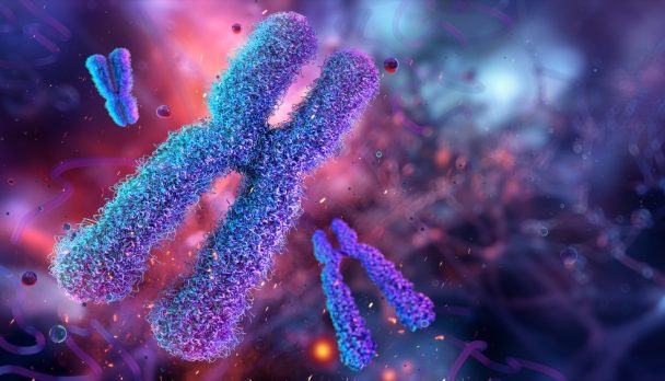 Human,X,Chromosomes,,Karyotype,,Structure,,Division,In,Genetic,Biological,Study.