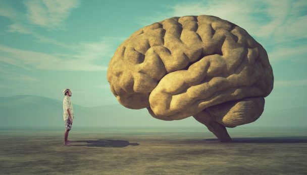 shutterstock_1032541603-e1696552247631