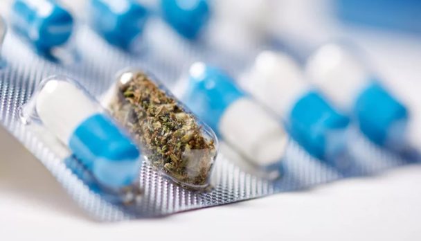 shutterstock_1088231351