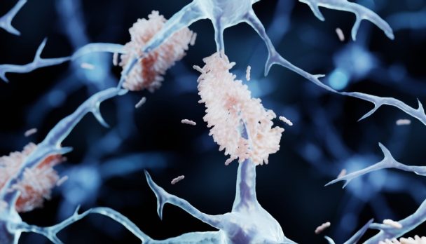 shutterstock_2084522077