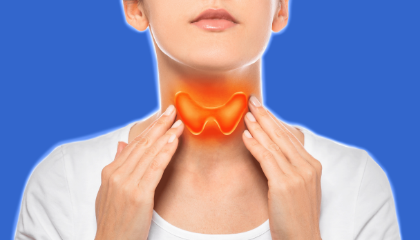 thyroid