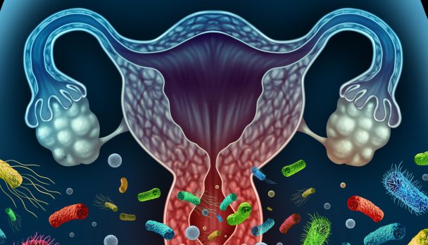vaginal microbiome